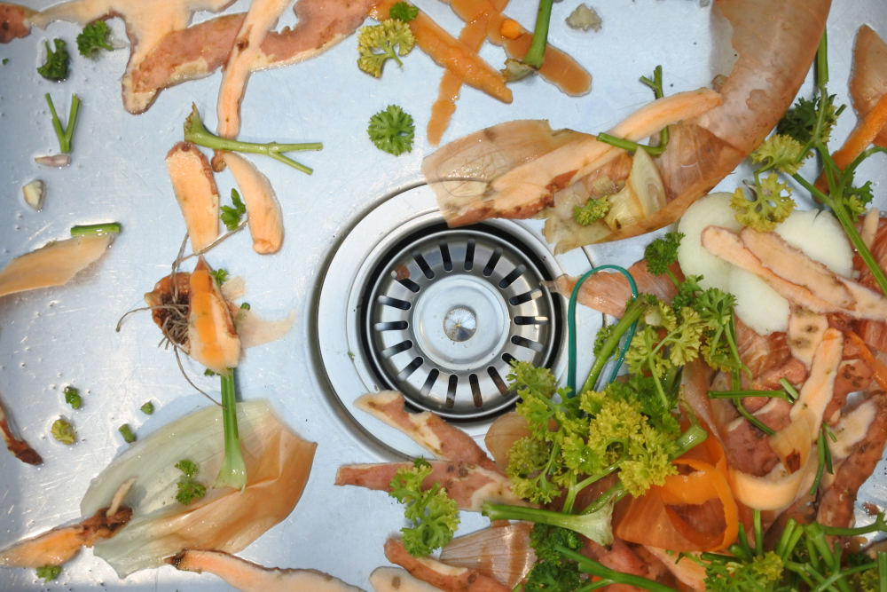 Vegetable waste in sink surrounding a covered drain - Boyd Plumbing